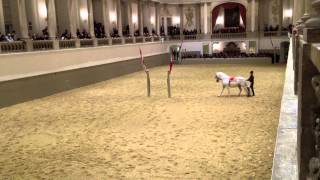 Spanische Reitschule Wien Video 2 [upl. by Simmons]