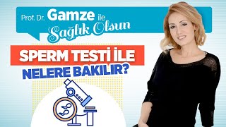 Sperm Testi Nedir Nerede Yapılır Sperm Test Sonucu Ne Zaman Çıkar  Prof Dr Gamze Sinem [upl. by Nnylecyoj]