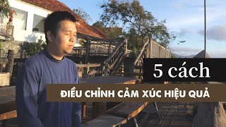 5 cách rất hay để điều chỉnh cảm xúc I Trí tuệ cảm xúc I Tập 8 [upl. by Venditti]