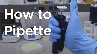 How to Micropipette  miniPCR bio™ [upl. by Yngiram]