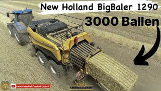 3000 Ballen mit der neuen New Holland BigBaler 1290 Quaderballenpresse mit hoher Dichte Lohnpressen [upl. by Yleve]