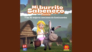 Mi Burrito Sabanero Remix [upl. by Eerhs]