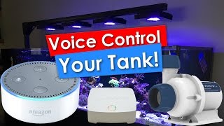 Voice controlled Reef Tank using Amazon Alexa Echo Dot Ecotech Reeflink and a Vectra M1 [upl. by Drusy]