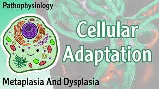 Pathophysiology  Cellular Adaptation  Metaplasia Dysplasia  Hani Laith شرح [upl. by Pelaga130]