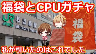 【秋葉原】PC福袋とCPUガチャ。私が手に入れたものはこれでした【ゆっくり】 [upl. by Denoting]