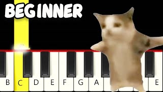 Happy Happy Happy Cat Song Meme  Fast and Slow Easy Piano Tutorial  Beginner [upl. by Yecrad154]