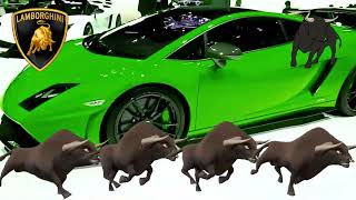 SPECTACULAR COLOR CHANGING LAMBORGHINI GALLARDO QUATTRO TORO BRAVO  Playlist [upl. by Jerad]