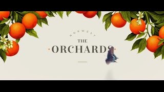 THE ORCHARDS Baulkham Hills [upl. by Pirnot]