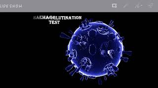 Hemagglutinin TestExplained in urdu [upl. by Ahsinhoj]