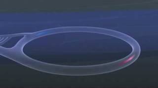 Large Hadron Collider  Animation Video [upl. by Hutton81]