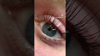 The difference a lash lift can make lashlift huntingtonbeach soloesthetician lashartist shorts [upl. by Itsirk]