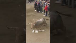 UNO DE LOS TOROS MÁS FUERTES QUE VERÁS [upl. by Ibby]