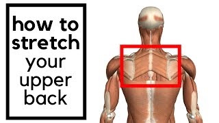 How to stretch your upper middle back  rhomboid muscle [upl. by Karalee967]