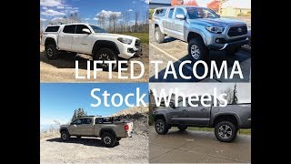 Best Lifts to maintain the stock Tacoma look [upl. by Guidotti438]