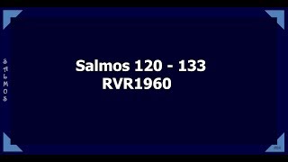 la Biblia hablada Salmos 120  133 [upl. by Palocz989]