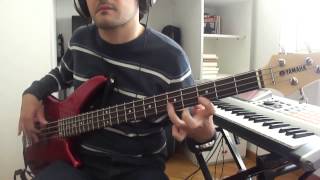 the contours  just a little misunderstanding bass cover [upl. by Notgnirrac]