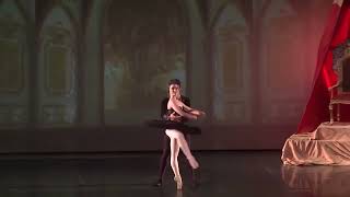 O Lago dos Cisnes  Ballet Paula Castro 2017 [upl. by Jasisa]