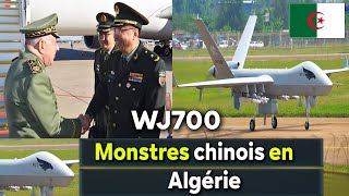 Algérie Larmée algérienne se renforce des monstres chinois WJ700 et confond le Maroc [upl. by Creighton]