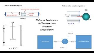 Fenómenos de Transporte en Procesos Microbianos EGELPLUS IQUIMunam [upl. by Atiuqrehs]