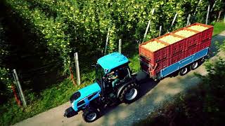 Landini tractors at work in orchards  Landini REX 4 FGT Series [upl. by Ahsimin]