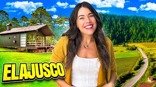 INCREÍBLE HOTEL en el AJUSCO con CENA ROMÁNTICA  MÉXICO  4K [upl. by Aivyls284]