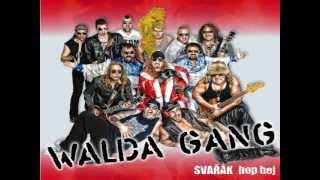 Walda Gang Hoja Hou [upl. by Blus]