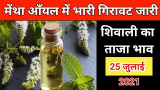 Today Mentha Oil Rate  आज के ताजा मेंथा तेल के रेट  मेंथा आँयल के रेट में गिरावट [upl. by Prudhoe]