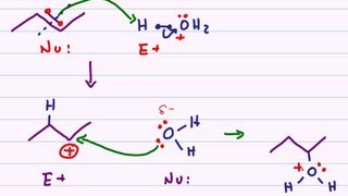 Hydration of Alkenes  Acid Catalyzed Reaction Mechanism [upl. by Dot]