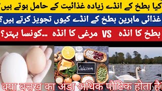 why Duck egg is more Nutritious Urdu  Hindi [upl. by Annahs694]