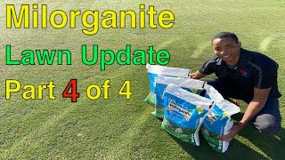 MILORGANITE BEFORE and AFTER Lawn Care Update  Part 4 of 4 [upl. by Harberd]