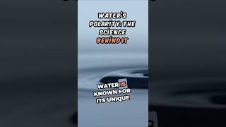 Waters Polarity The Science Behind It [upl. by Gleich]