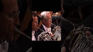 Strauss’s Symphonia Domestica Horn Section Shortsolo [upl. by Colvert]