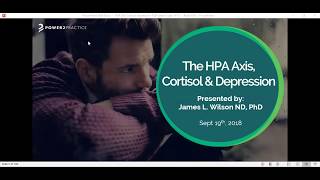 HPA Axis Cortisol amp Depression with Dr James Wilson [upl. by Teferi]