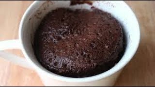 2 min Low Carb Keto ChocolatePecan Mug Cake [upl. by Atnas]