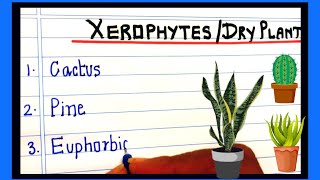 Xerophytic plants names  xerophytes name in English Dessert plants xerophytes naam [upl. by Ibba883]