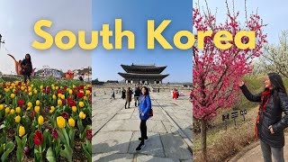 South Korea 2024 Travel Guide Place to Visit in Seoul South Korea [upl. by Lyndes]