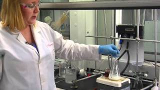 Cholesterol Lab Part 1 [upl. by Olim]