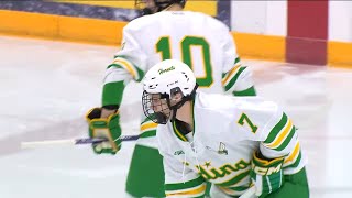 Edina vs Maple Grove Boys High School Hockey  Turkey Trot Tournament [upl. by Jd]