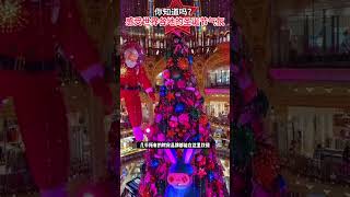 感受一下世界各地的圣诞节气氛 圣诞 圣诞节 带你看风景 带你看世界 christmas shorts 旅游攻略 圣诞老人 [upl. by Baggett]