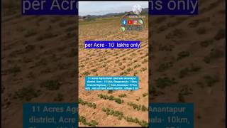 Cheap Agricultural land sale 11 Acres Anantapur [upl. by Riccardo282]