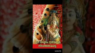 കൃഷ്ണാ ഗുരുവായൂരപ്പ🙏🔥guruvayoor video videos youtubeshortsshortsviral shortfeed [upl. by Sukhum735]