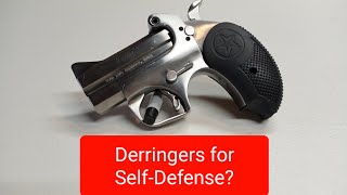 Are Derringers Good For SelfDefense [upl. by Damha997]