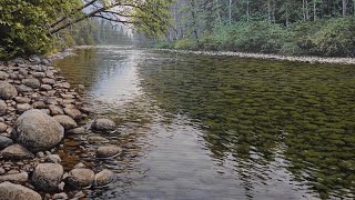 Painting a Realistic River With Acrylic Time Lapse 90 [upl. by Lowell]