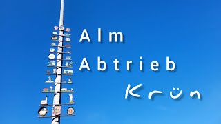 Almabtrieb Celebration in Krün Decorated Cows amp Traditional Festivities [upl. by Terrence]