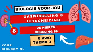 6 vwo  Gaswisseling amp Uitscheiding  8  De nieren regeling pH [upl. by Gorton]