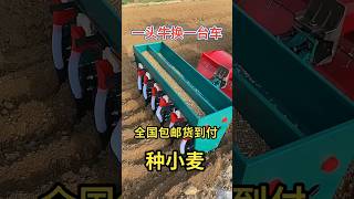 Tracked Cultivator Wheat seeding rotary cultivator shorts youtubeshorts viralvideo [upl. by Gussman]