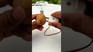 Potato Se Free Light Bulb Live Hack Fell ❌🤯😅shorts triending youtubeshorts [upl. by Dante]