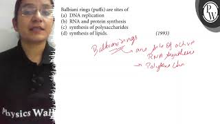 Balbiani rings puffs are sites of a DNA replication b RNA and [upl. by Nawrocki]