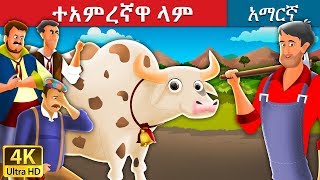 ተአምረኛዋ ላም  The Magic Cow Story in Amharic  Amharic Fairy Tales [upl. by Eatnoled450]