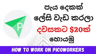 How to Work on Picoworkers  Sinhala  Picoworkers 2021  පැය දෙකක් ලේසි වැඩ කරලා දවසකට 20ක් හොයමු [upl. by Weywadt]